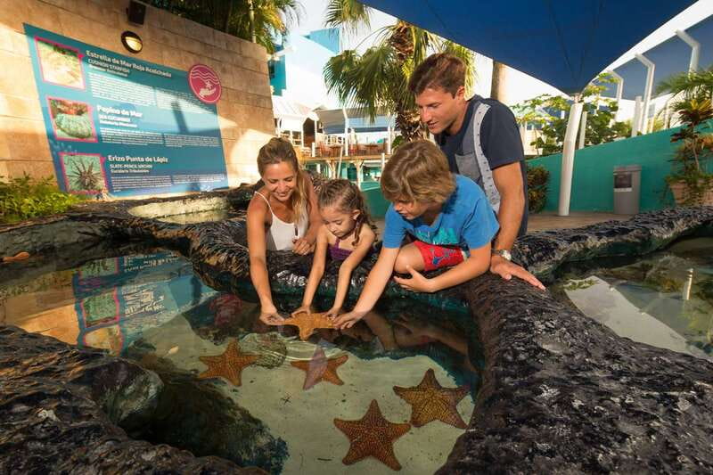 Cancún: Interactive Aquarium Admission - Axolotls and the iPad zone: small add-ons that break up the tanks