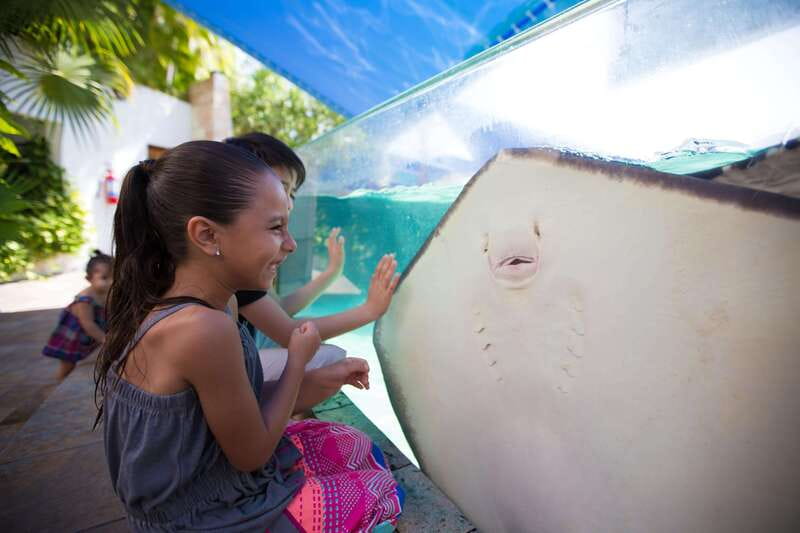 Cancún Interactive Aquarium Admission + Dolphin Presentation - Key things you should know before you go