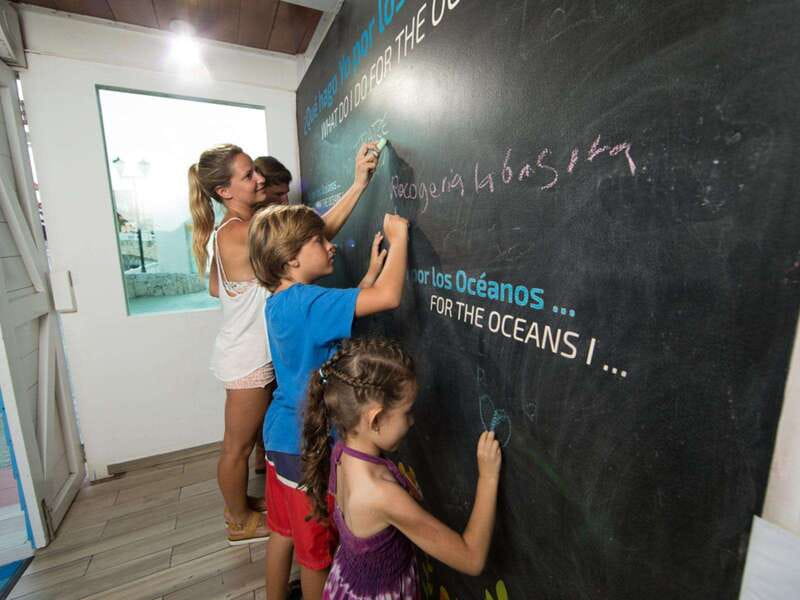Cancún Interactive Aquarium Admission + Dolphin Presentation - What This Experience Feels Like for Different Types of Travelers