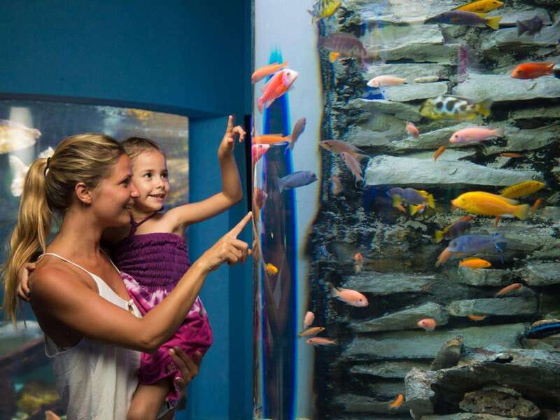 Cancún Interactive Aquarium Admission + Dolphin Presentation - Practical Tips That Make the Day Smoother
