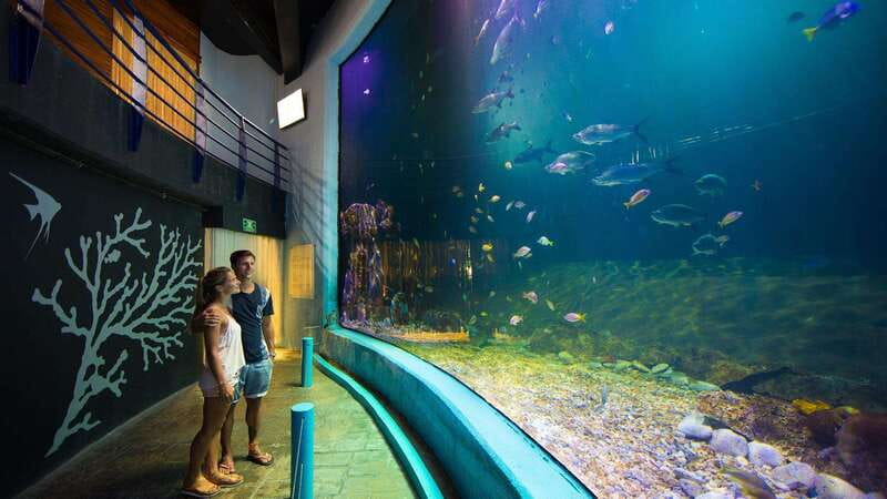Cancún Interactive Aquarium Admission + Dolphin Presentation - First Stop: Entering the Interactive Aquarium (and What You Actually Get)