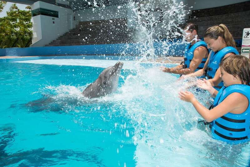 Cancun: Interactive Aquarium - Swim with Dolphins Splash - Key things I’d circle before you go