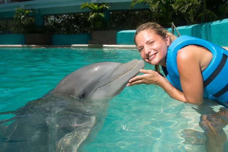 Cancun: Interactive Aquarium - Swim with Dolphins Splash - The flow once you arrive: how the 35 minutes tends to feel