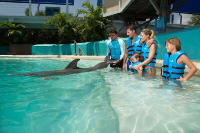 Cancun: Interactive Aquarium - Swim with Dolphins Splash - Meeting at Plaza La Isla: the easiest way to find it