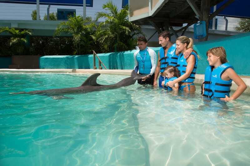 Cancun: Interactive Aquarium - Swim with Dolphins Splash - The dolphin interaction: 20 minutes in the water and 10 dolphin activities
