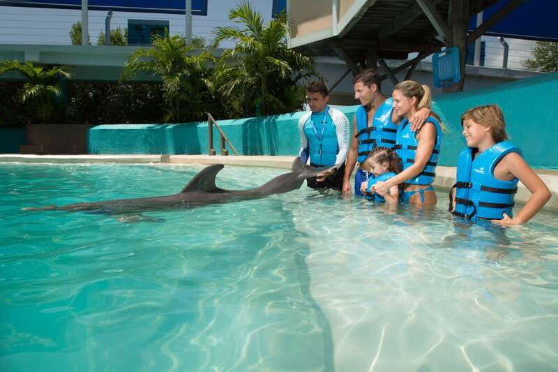 Cancun: Interactive Aquarium Ticket and Swim with Dolphins - Touch, Petting, and Dolphin Kisses: What Interaction Looks Like