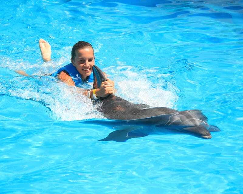 Cancun: Interactive Aquarium Ticket and Swim with Dolphins - Price and Value: Is $138 Worth It for 30 Minutes?