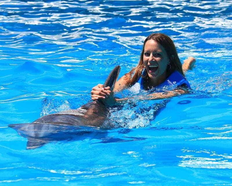 Cancun: Interactive Aquarium Ticket and Swim with Dolphins - Best Fit: Who This Dolphin Program Suits