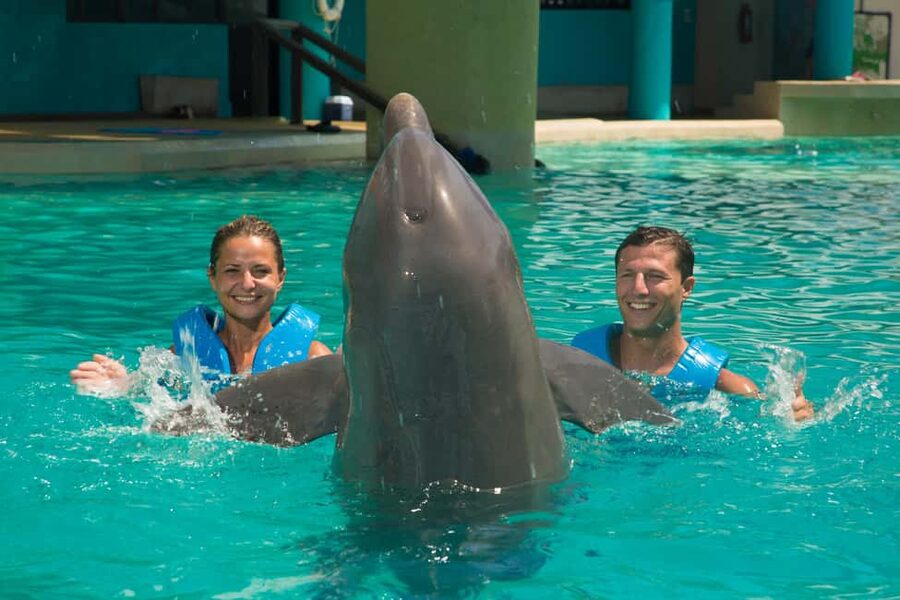 Cancun: Interactive Aquarium Ticket and Swim with Dolphins - Your Water Time: 30 Minutes, 14 Activities, and a Tight Group