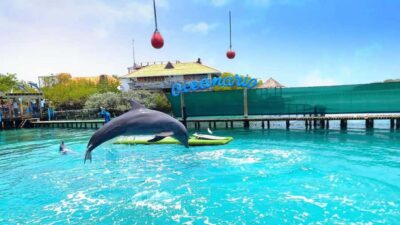 CARTAGENA: 4 islands by sport boat +oceanarium tickets - Meeting at Centennial Park: where the day starts (and how not to lose time)