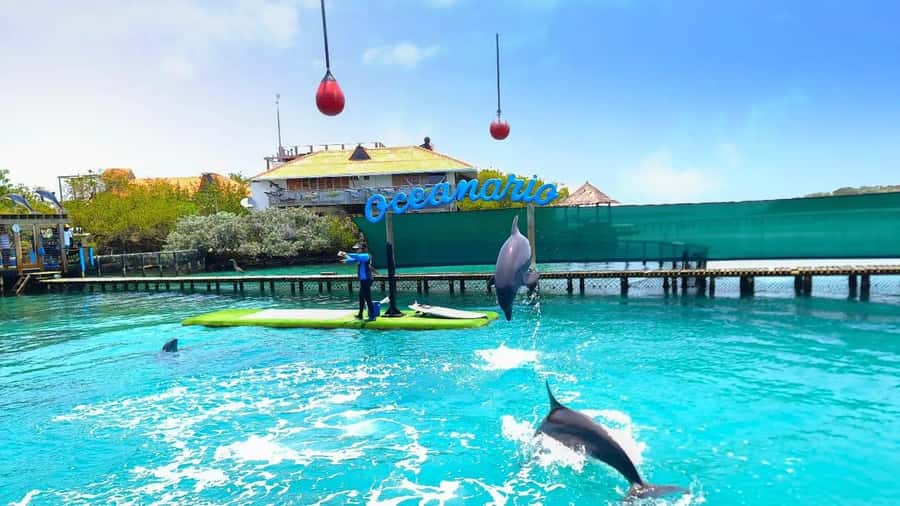 CARTAGENA: 4 islands by sport boat +oceanarium tickets - The submerged airplane stop: the quick wow moment in Rosario Islands