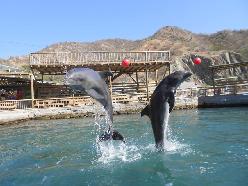 Cartagena: Ecoplan on Barú, Aviary and Oceanarium in one day - Price and Value: Why $68 Might Make Sense (If You Plan for Extras)