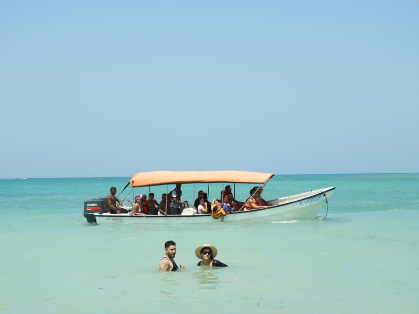 Cartagena: Ecoplan on Barú, Aviary and Oceanarium in one day - Oceanarium Show vs. Reef Snorkeling: Choose Your Style