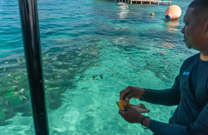 Cartagena: Ecoplan on Barú, Aviary and Oceanarium in one day - The Morning Drive: Comfort Check Before You Board