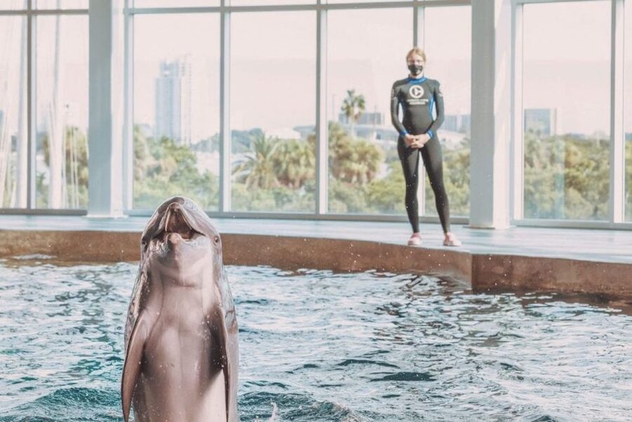 Clearwater: Eco-Certified Marine Aquarium General Admission - Key things to know before you go