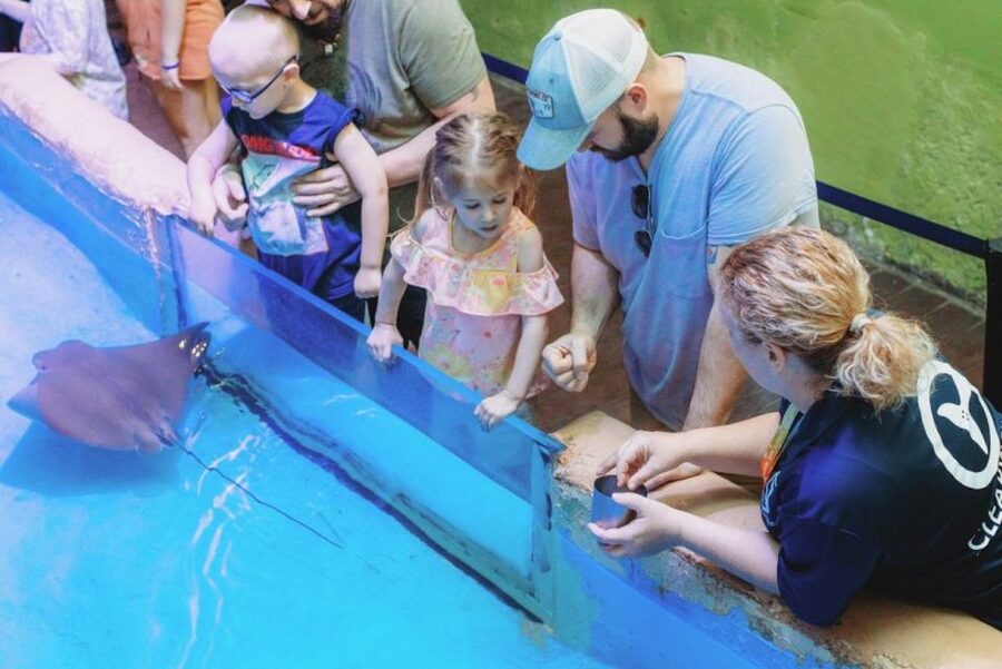 Clearwater: Eco-Certified Marine Aquarium General Admission - Timing your visit: how to get the most from a 1-day pass