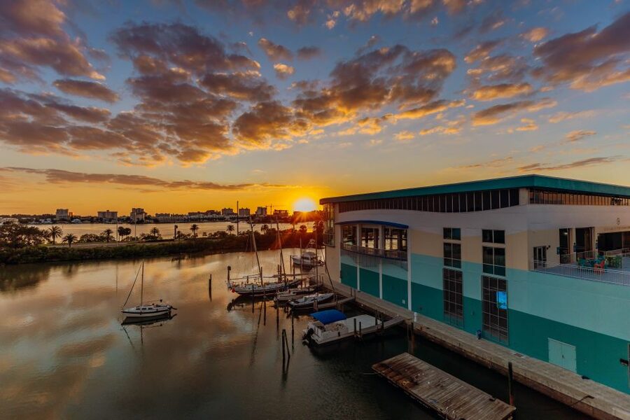 Clearwater: Eco-Certified Marine Aquarium General Admission - The working animal hospital: rehab is the real heartbeat
