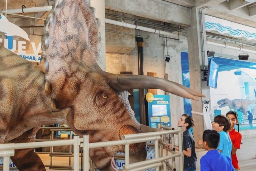 Clearwater: Eco-Certified Marine Aquarium General Admission - Optional boat tour of Clearwater Bay and other add-ons
