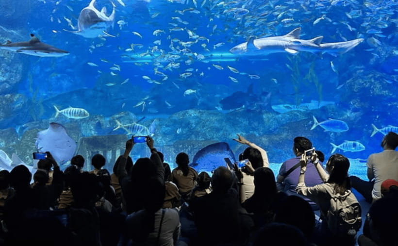 Coex Aquarium Entry Ticket - Key things I’d plan around before you go