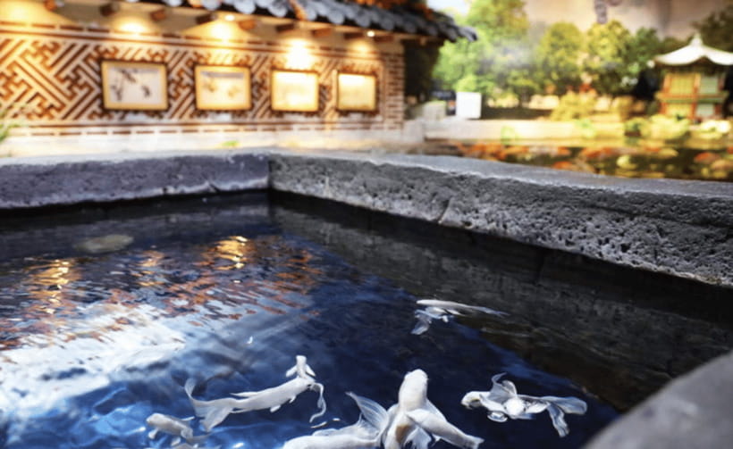 Coex Aquarium Entry Ticket - LEGO Theme Zone, Aquarist experience, and photo-friendly stops