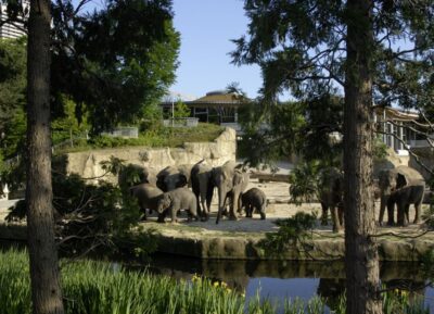 Cologne: Cologne Zoo and Aquarium Entry Ticket - Asian Elephant Park: The Main Event You’ll Keep Thinking About