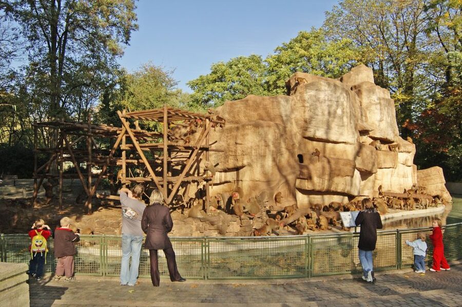 Cologne: Cologne Zoo and Aquarium Entry Ticket - Dino Don: The Moving Dinosaur Sculptures