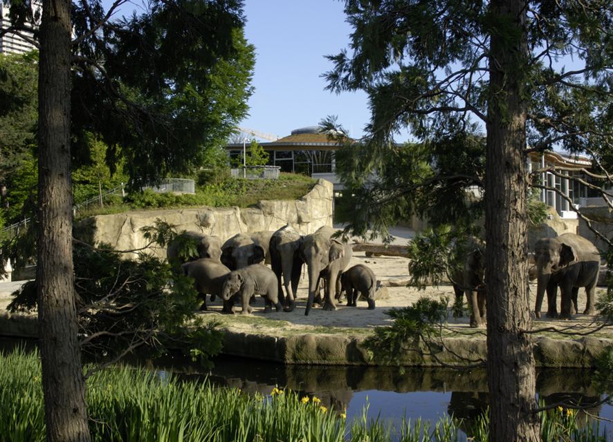 Cologne: Cologne Zoo and Aquarium Entry Ticket - Asian Elephant Park: The Main Event You’ll Keep Thinking About