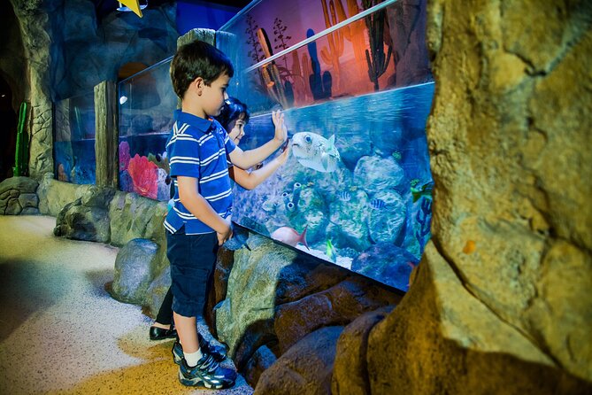 Combi Ticket: LEGOLAND Discovery Centre & SEA LIFE Oberhausen - LEGOLAND Discovery Centre: indoor LEGO world for ages 3 to 10
