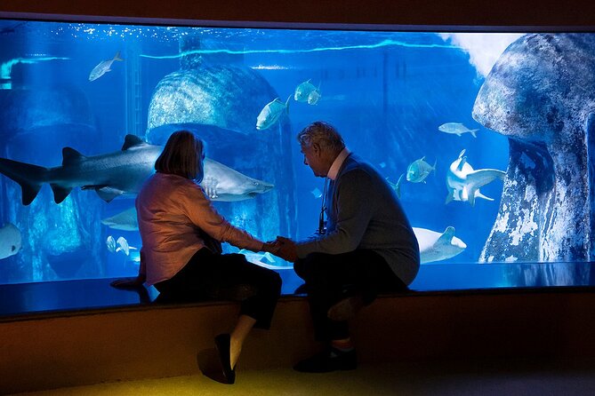 Combo Ticket: Madame Tussauds & SEA LIFE London Aquarium - SEA LIFE London Aquarium: Polar Adventure, Coral Kingdom, and Gentoo penguins