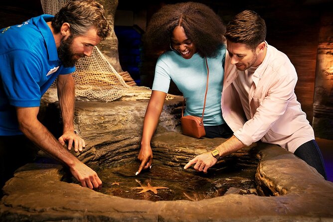 Combo Ticket: Madame Tussauds & SEA LIFE London Aquarium - Timing reality: how to make the 3-hour plan feel smooth