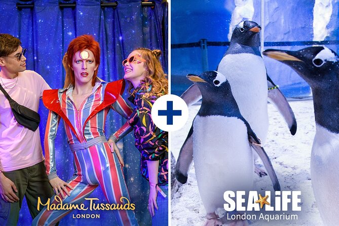 Combo Ticket: Madame Tussauds & SEA LIFE London Aquarium - Price and value: is $80.13 a good deal?