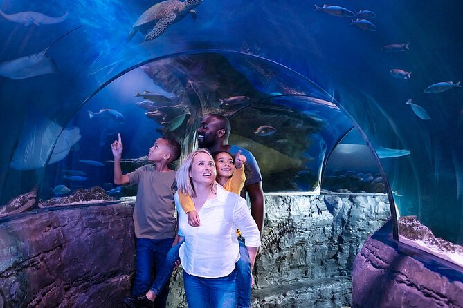 Combo Ticket: Madame Tussauds & SEA LIFE London Aquarium - The big-picture experience: what you’ll remember