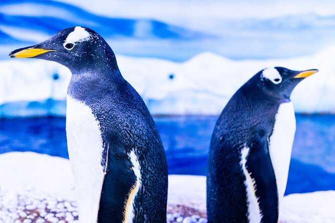 Combo Ticket: Madame Tussauds & SEA LIFE London Aquarium - Madame Tussauds London: 150+ lifelike figures and the fashion runway