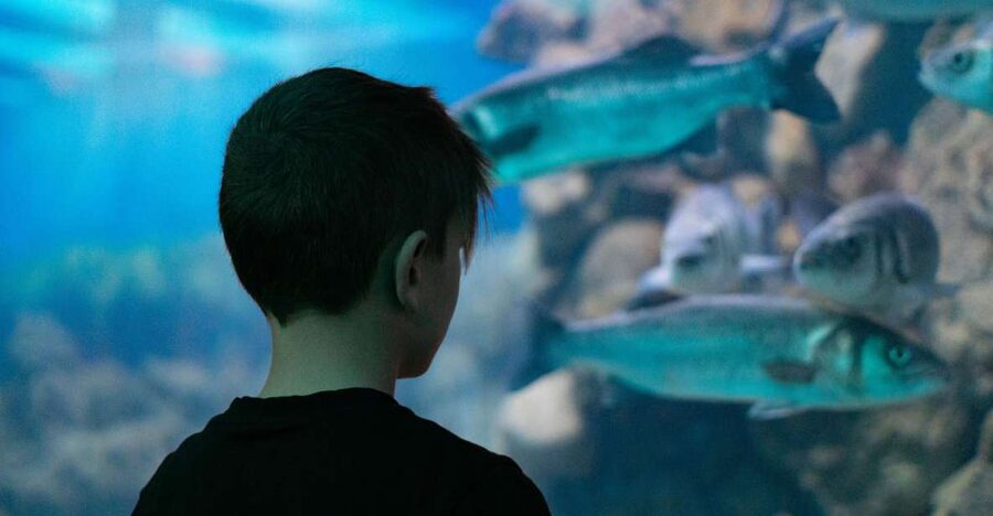 Corfu: Aquarium Entry Ticket with Guided Tour - Key things to know before you go