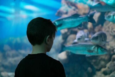 Corfu: Aquarium Entry Ticket with Guided Tour - How the guided tour pacing works (and what to watch for)
