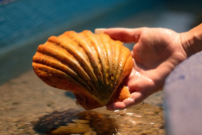 Corfu Aquarium Ticket with Tour Included - Reptile house stop: international reptiles and amphibians in one route