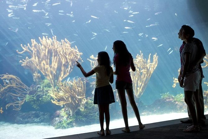 Crystal Caves, Aquarium, City of Hamilton and Ferry - Crystal & Fantasy Caves: The Stair Reality and What the Guide Adds