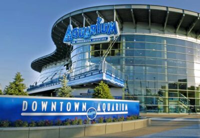 Denver: Downtown Aquarium All-Day Pass - First stop: Stingray Reef touch tank (the part kids remember)