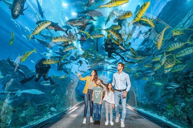 Dubai Aquarium and Underwater Zoo - Dubai’s 48-Meter Tunnel: The Part You’ll Remember