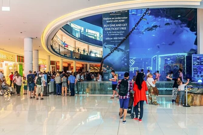 Dubai Aquarium and Underwater Zoo - Choosing Between Ticket Options: Tunnel-Only vs Penguin Cove Add-Ons
