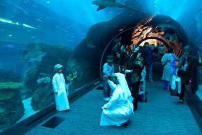 Dubai Aquarium and Underwater Zoo - Three zones make the circuit feel organized