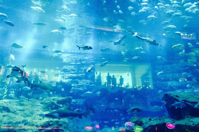 Dubai Aquarium and Underwater Zoo - How the 10:00 Start and 3–4 Hours Works in Real Life
