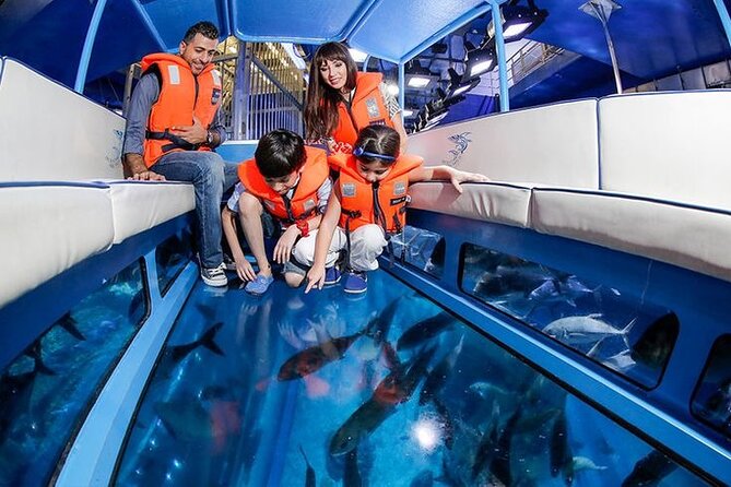 Dubai Aquarium and Underwater Zoo - Price and Value: Is $50 Smart for What You Get?