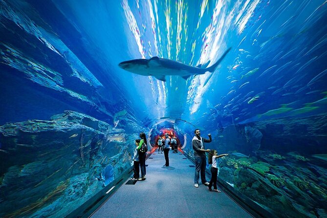 Dubai Aquarium and Underwater Zoo - Should You Book the Dubai Aquarium and Underwater Zoo?