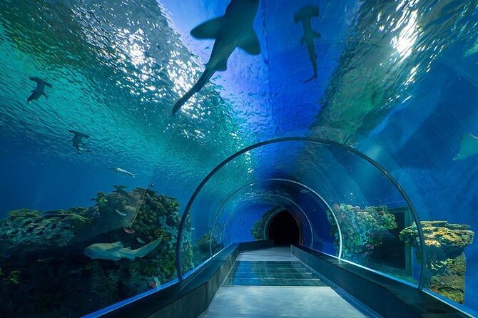 Dubai Aquarium and Underwater Zoo - Who this is best for