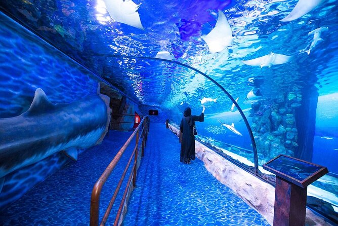 Dubai Aquarium and Underwater Zoo Admission Ticket with Options - Underwater Zoo With King Crocs and Night Creatures