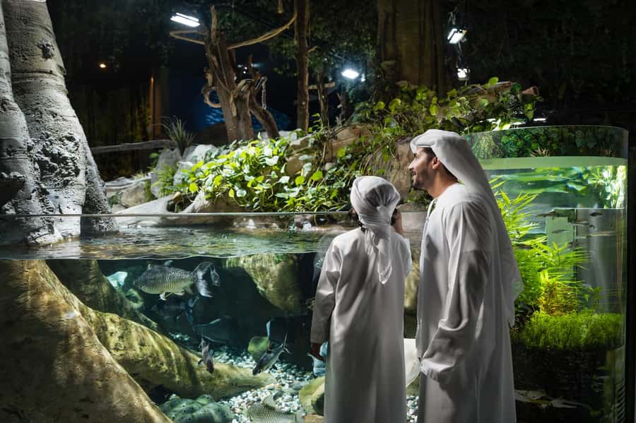 Dubai: Aquarium and Underwater Zoo Experience - Key things to know before you go
