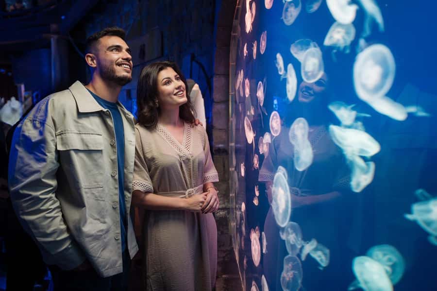 Dubai: Aquarium and Underwater Zoo Experience - Walking the Aquarium Tunnel: what you’ll actually spend time looking at