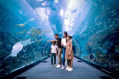 Dubai: Aquarium and Underwater Zoo Experience - Regular Pass vs Ultimate vs All Access VIP: choosing the right value