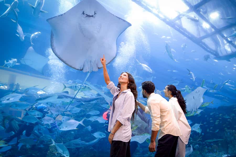 Dubai: Aquarium and Underwater Zoo Experience - Underwater Zoo zones: rainforest, rocky shore, and living ocean